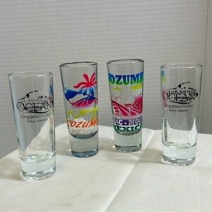 Tall Shot Glass Lot of 4 Cozumel & Maui 4”H